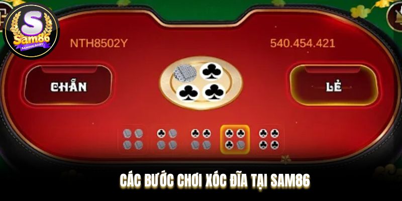 Các bước chơi Xóc Đĩa chi tiết bạn không nên bỏ qua 