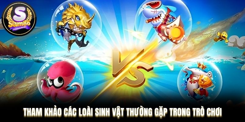 Tham khảo các loài sinh vật thường gặp trong trò chơi